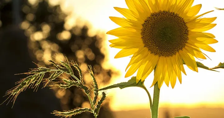 中年感悟：人生过半，学会看淡，静而不争，顺其自然