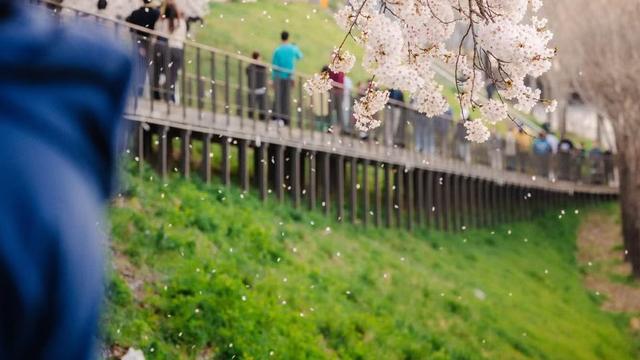 娱乐圈鲜生：我的今