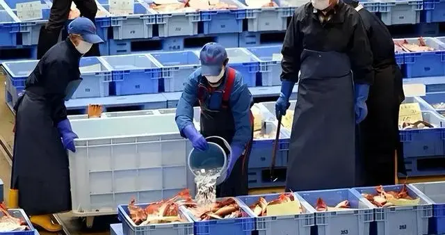 12万吨水产烂在港口！日企绝望：致命打击，全完了