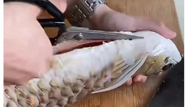 正大光明小鱼7Dc9Qn：笑不活了！ 最