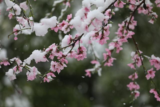 牛市初期，三月里还下桃花雪