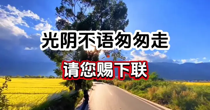 对对联上联：光阴不语匆匆走 请您赐下联