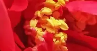 一定要稳住，别担心 别害怕你一直担心的事，未来的好超乎你想象