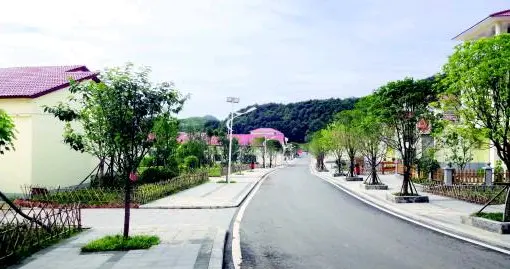 巜2026农村迎来大变革，种地不再穷，普通人在家也能稳稳增收》