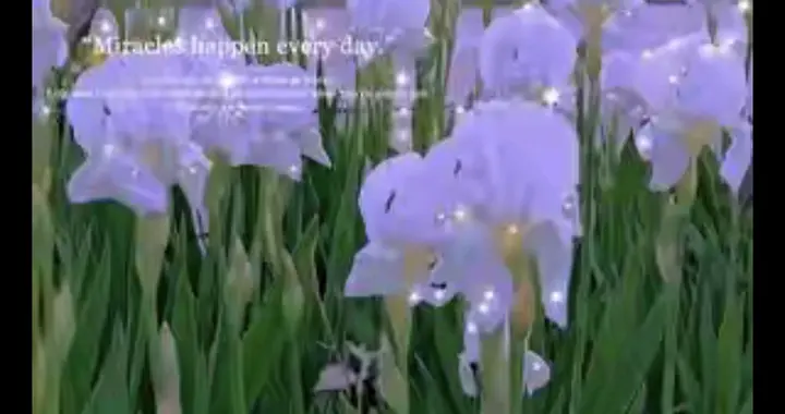 好好说话 ，好好拥抱 ，好好过日子