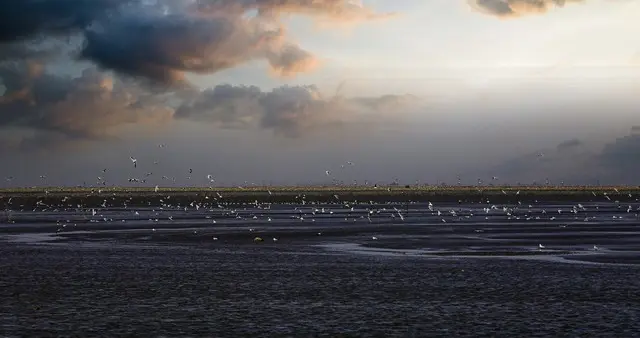 明明都是广西沿海城市，为啥钦州的知名度远比不上北海和防城港呢