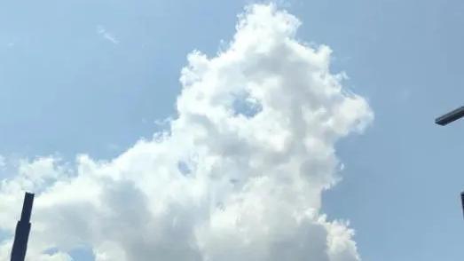 笔杆先生：这人心也太黑了！浙江杭州，一位