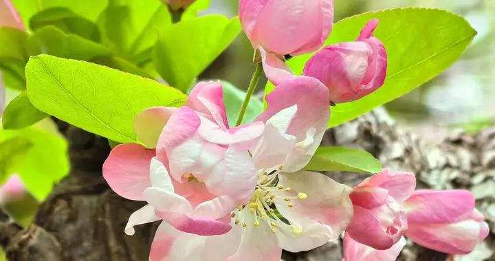 待我了却牵挂（组诗）