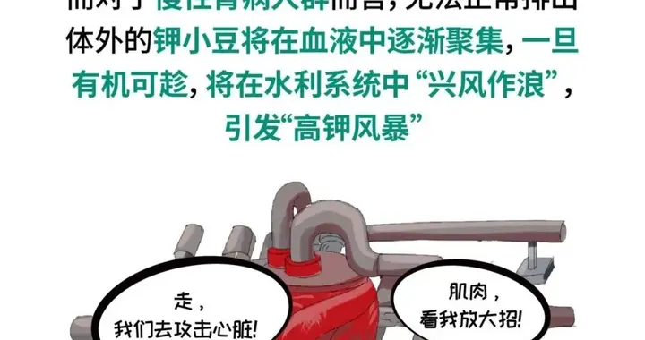 肾衰竭忌口食物表！这10类食物，肌酐高的肾友少吃