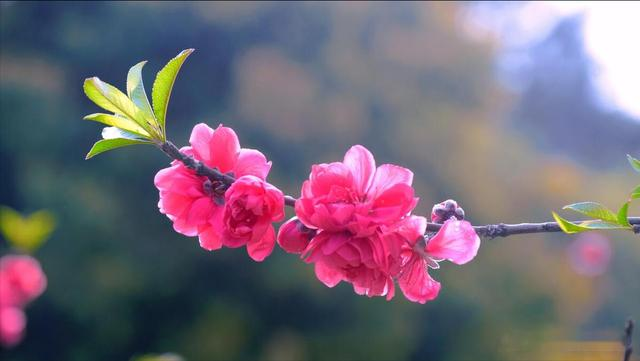 这几个星座旧物已舍，霉运皆消，好运自来