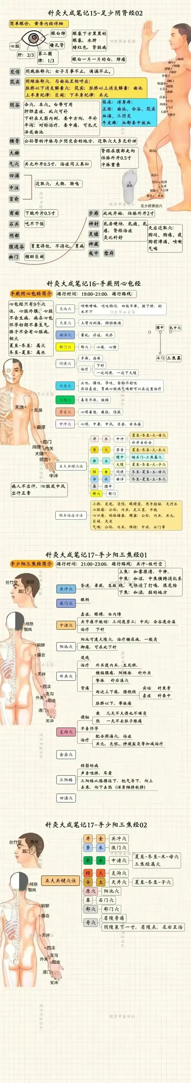 针灸传奇：从足少阴肾经到足太阴脾经，探寻穴位之力