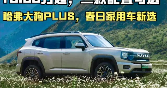10.98万起可城可野！哈弗大狗PLUS 2026款，承包全家周末春日狂欢