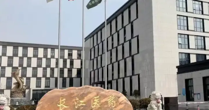 又一上市药企要凉了？连续3年财务造假，数万股民被割韭菜