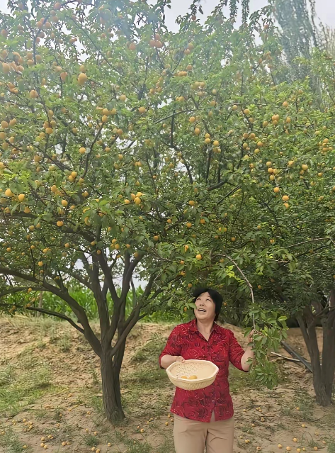 “治沙女杰”殷玉珍，如今身家厚得吓人。800万棵树、7万亩林子，名下还...
