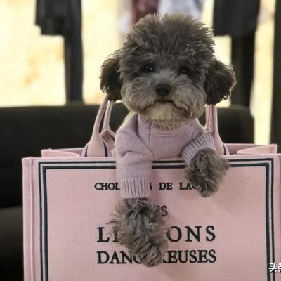 沙雕娱乐：刘嘉玲，激动晒照发文！  近日