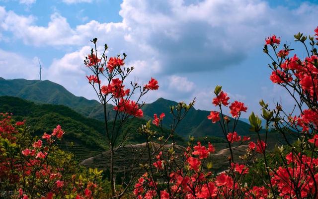 婆婆：陪嫁房没有小叔子的份，我就去睡大街，儿媳：你去吧，不送