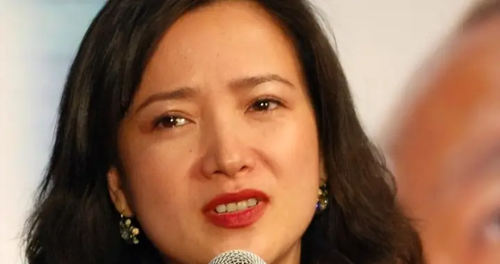 何晴去世留下了三件身后事，一件都没实现，曾为爱"做小"晚年凄凉