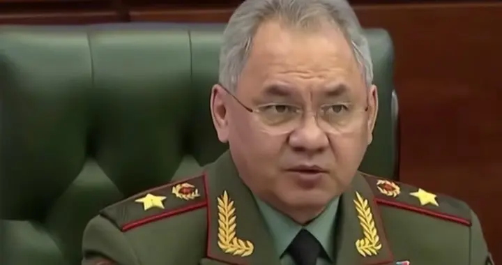 越南刚抱日本大腿！绍伊古急赴河内敲警钟：别在中日间站错队