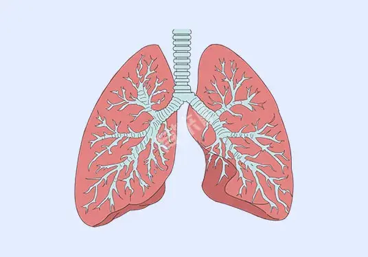 肺有病变，脸会“说话”，如果脸上没有这4种异常，说明肺很健康