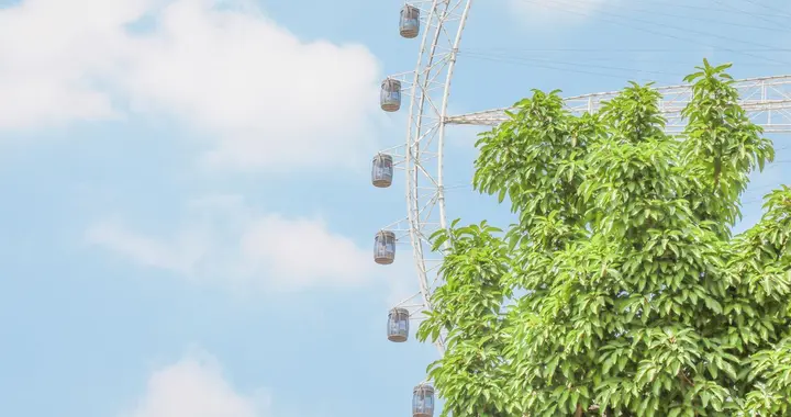 成年人的感情里，有一种沉默，比直接的拒绝更让人心凉