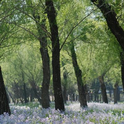 好人品谈楼市：“北京房价没有横盘，只有涨