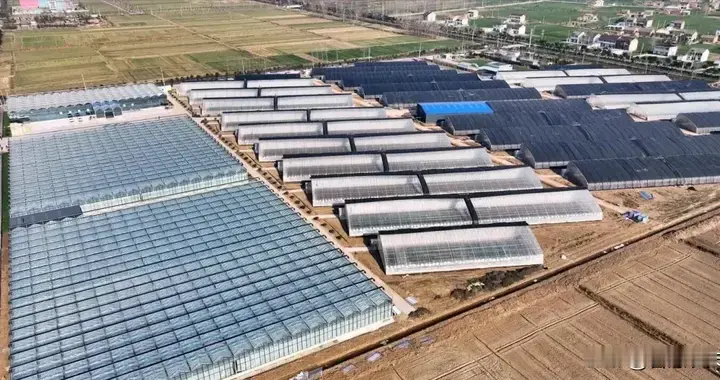 从中央农村经济工作会议，看 2026 年现代设施农业发展