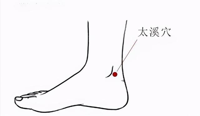 滋阴益肾——太溪穴