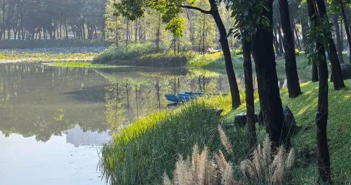 魅力南山 | 藏着《边城》余韵的芦趣湖