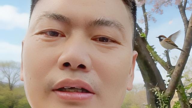 迷哥：春风拂过枝头，万物都醒了过来。