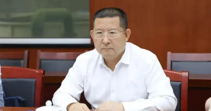 纪委又打一虎，央企前一把手被双开，大数据监督下他懂财会也没用