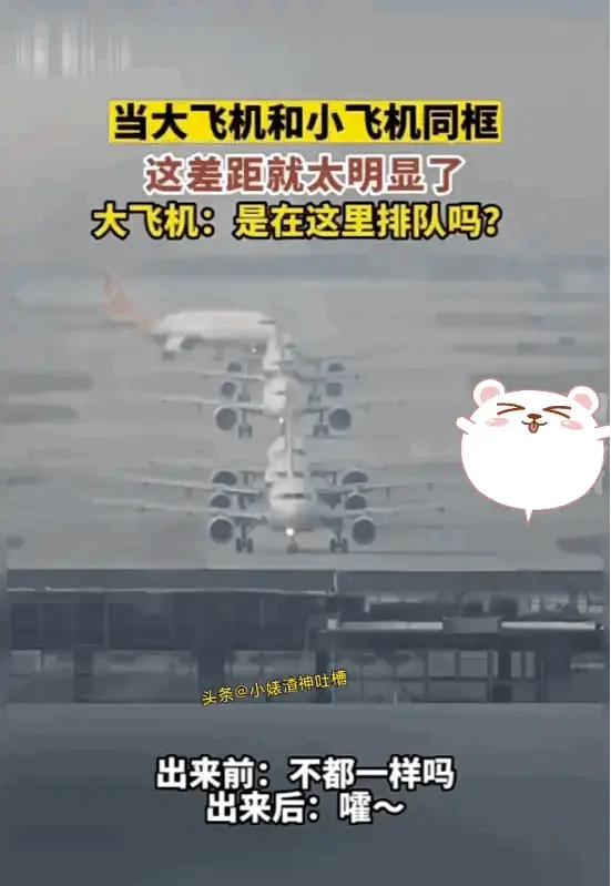 小黄动图分享：这区别大的很， 是有什么特