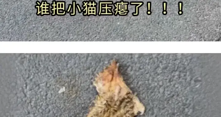 “近视人眼中的世界有多离谱？”哈哈哈哈哈哈画面感太强了！