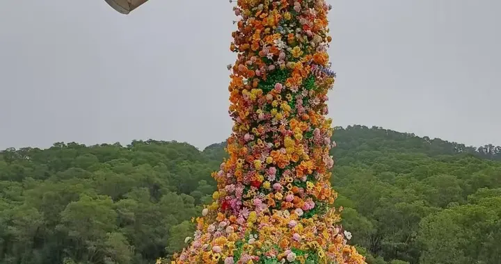 逾期一年了，过得好吗？