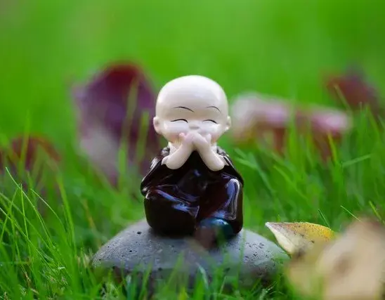 我50岁，突然明白，要想活得开心，要尽量宽容，也要偶尔计较