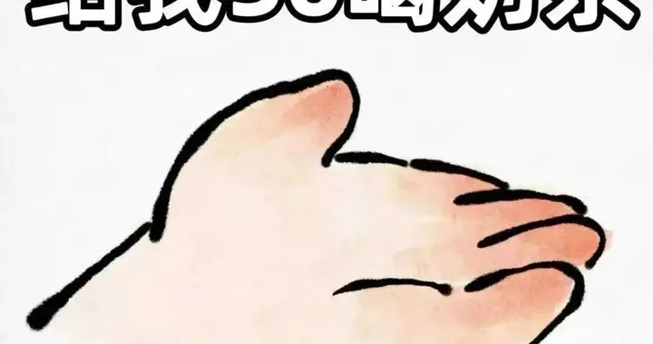 套路对象的表情包💰