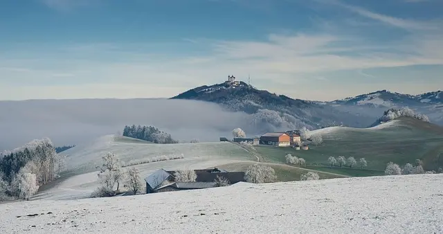 亚马逊广告总超预算？别再白白烧钱！这才是根 治超支的精 准调控法