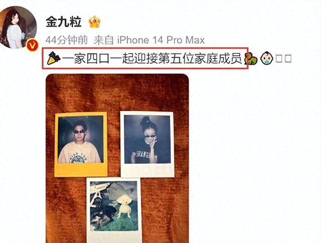 32岁金靖走机场被偶遇，老公舒奕橙又高又帅，全程护金靖生怕被