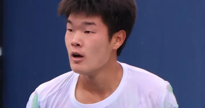 美国华裔网球选手：从张德培/Michael Chang到郑瑞/Mich...