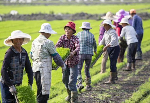 从避责走向履责：推动基层党员干部政治行为变化的路径探析