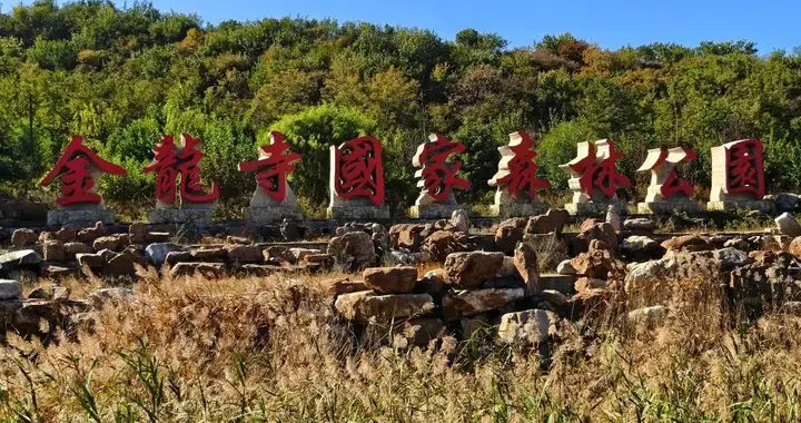 大连城山，挑战台阶之最，金龙寺森林公园风景太美了