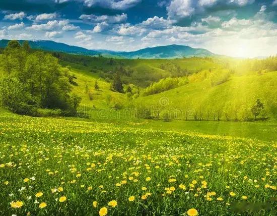 春分不养阳，一年都白忙，今天是春分了，别忘了吃三样做三事。