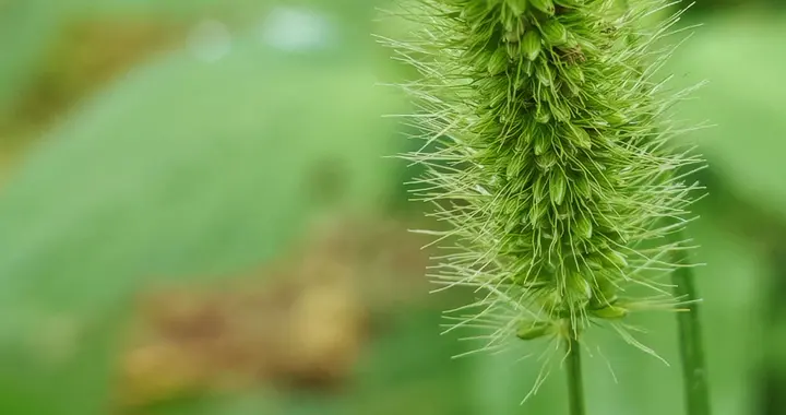 与痛风斗争的历程 379
