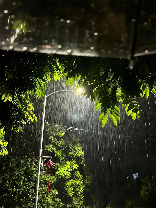 人为什么活着，活着又是为了什么？