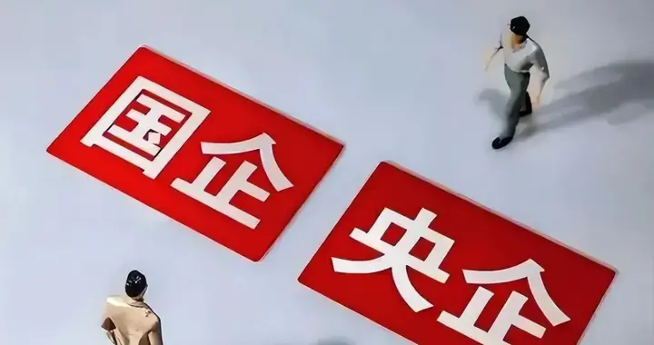 央企和地方国企搞农业靠谱吗？