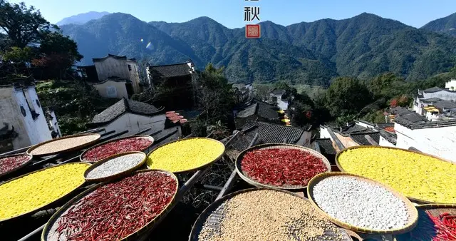 并非迷信！今日九月初一，牢记：1要吃，2不做，3要送，平安入冬
