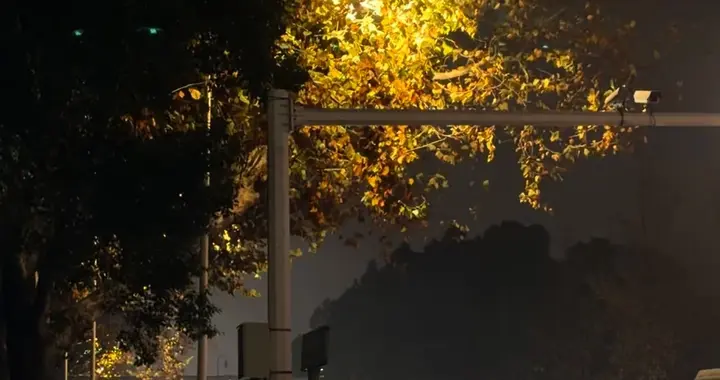 纠结！100万股北京银行股息32万80万股交行24万选稳还是选高息？