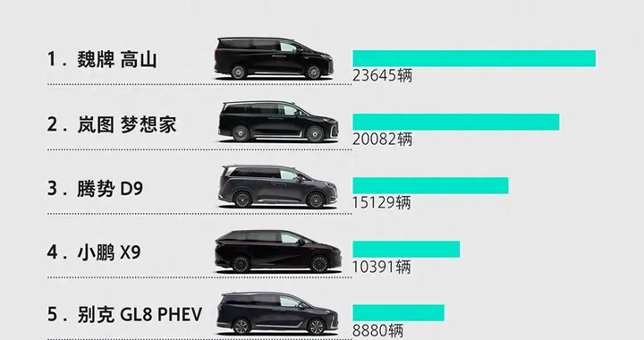 家用 MPV 人气王魏牌高山，带火MPV热潮