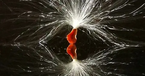 糖尿病人当悄悄升高时，身体哪里最先“拉响警报”？