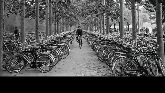 往事可堪回首：【旧时光】北京街头的自行车