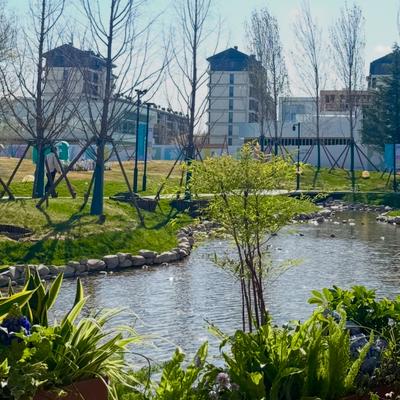 好人品谈楼市：昨日（4月10日），高网签